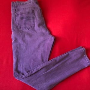 Plus Size Purple Skinny Jeans